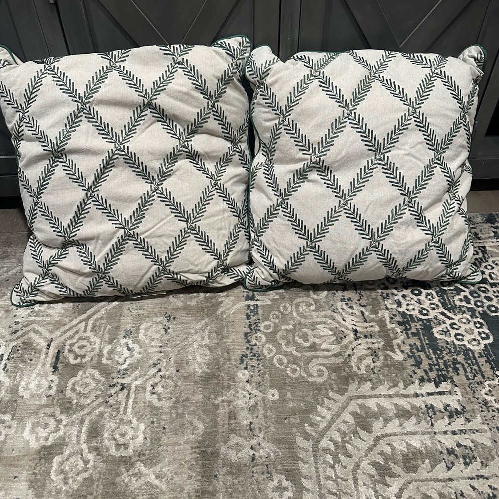 SET OF 2 THRESHOLD DECOR EURO PILLOWS -NEW